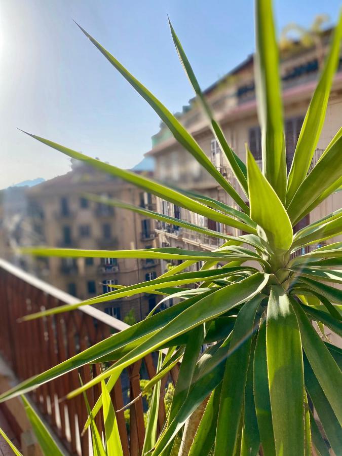 Hotel Mamamia al Politeama Palermo Esterno foto